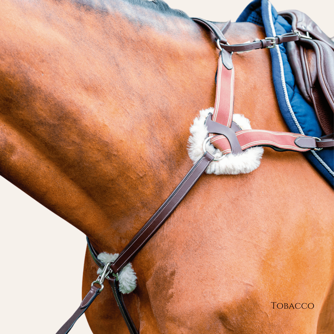 Breastplate (5 points) - 3D027 - Mon Sellier