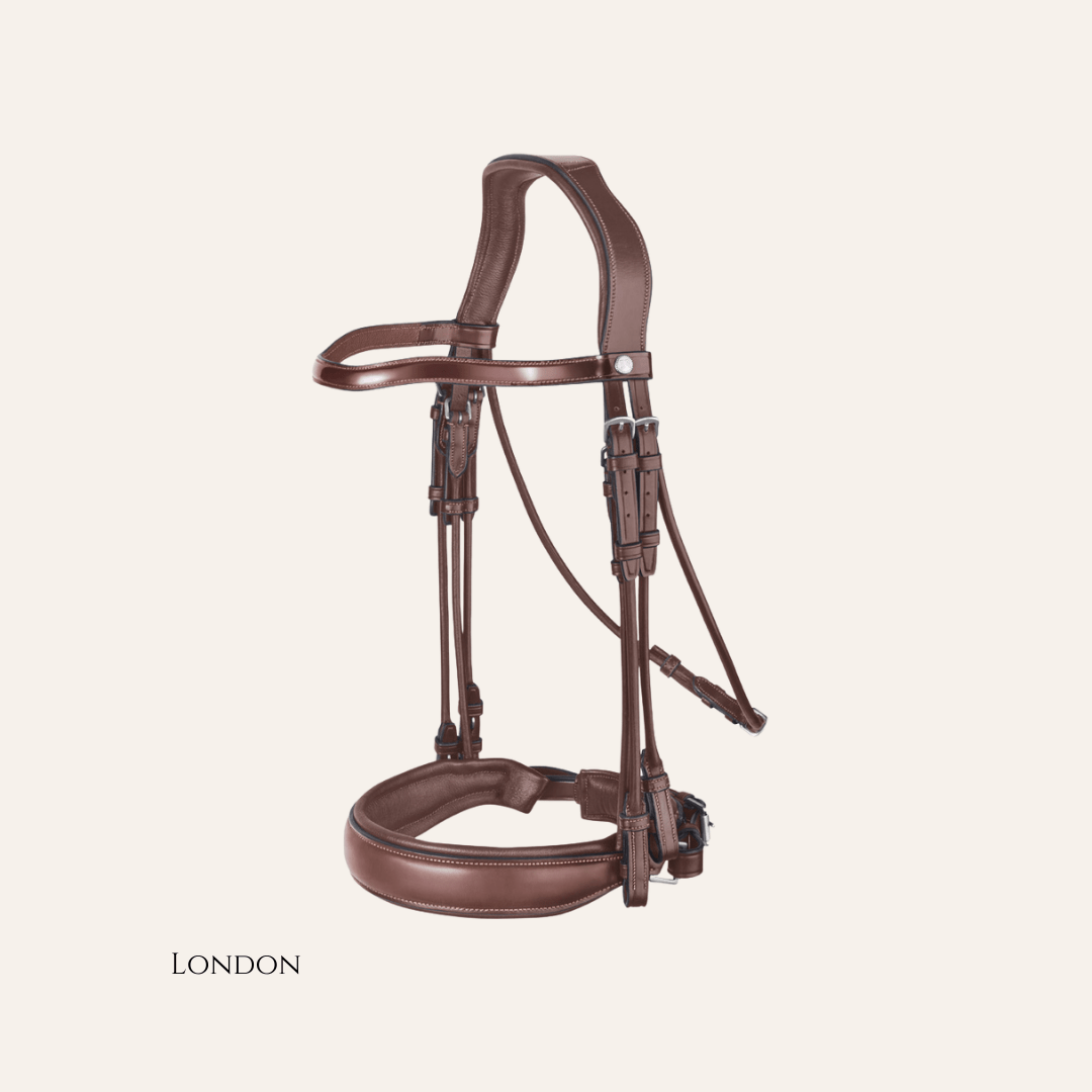 Bridle (Double) Dressage - 4E158 - Mon Sellier