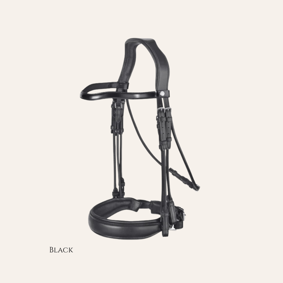 Bridle (Double) Dressage - 4E158 - Mon Sellier