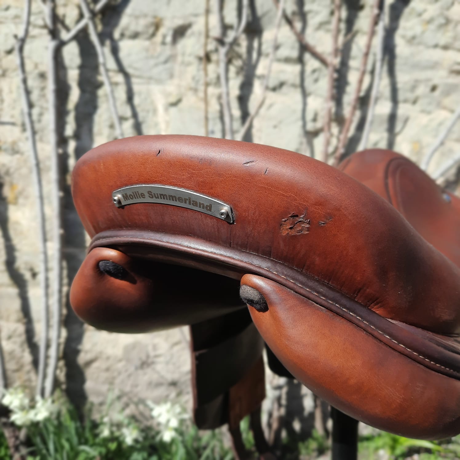 Renaissance F2 - Mono - Mon Sellier