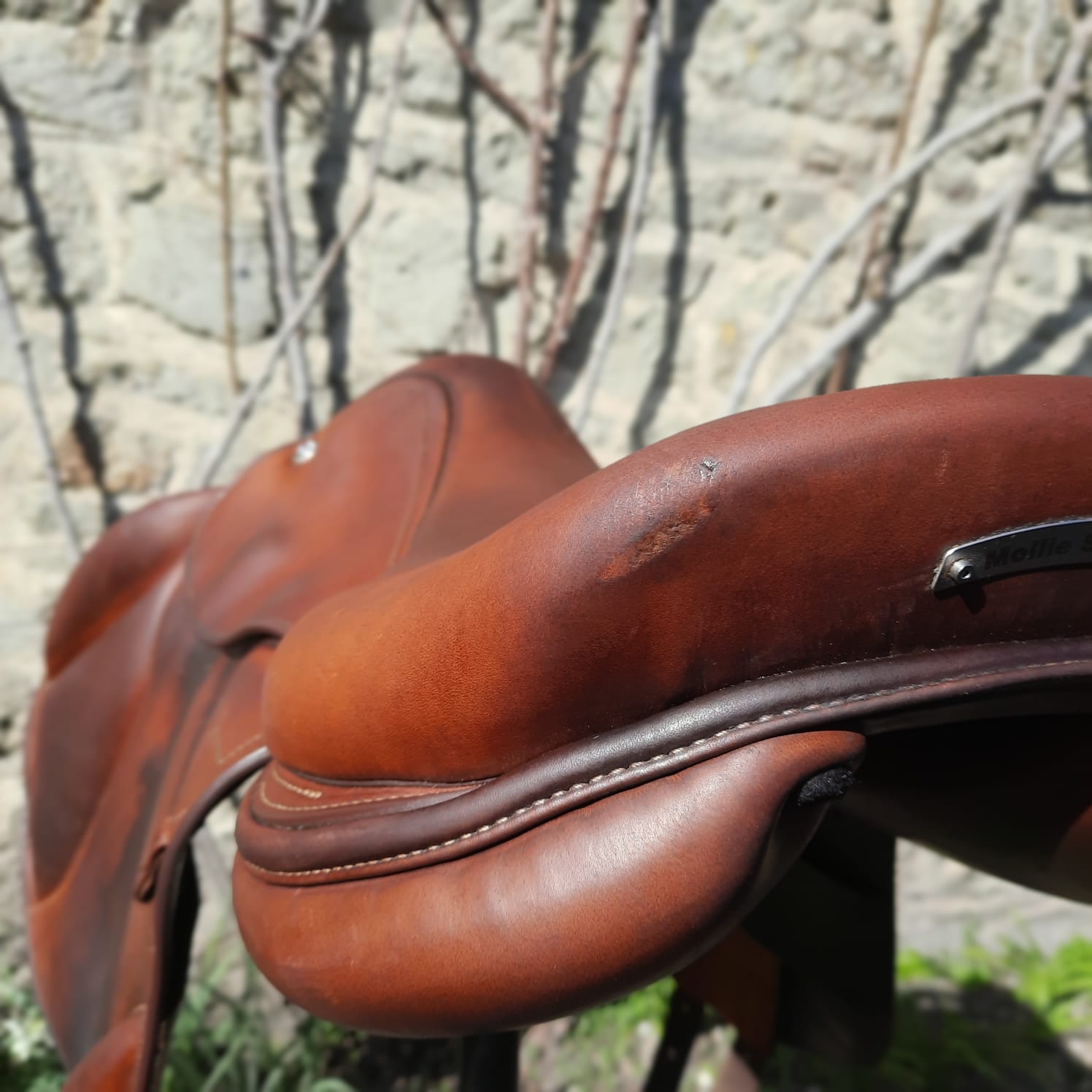 Renaissance F2 - Mono - Mon Sellier