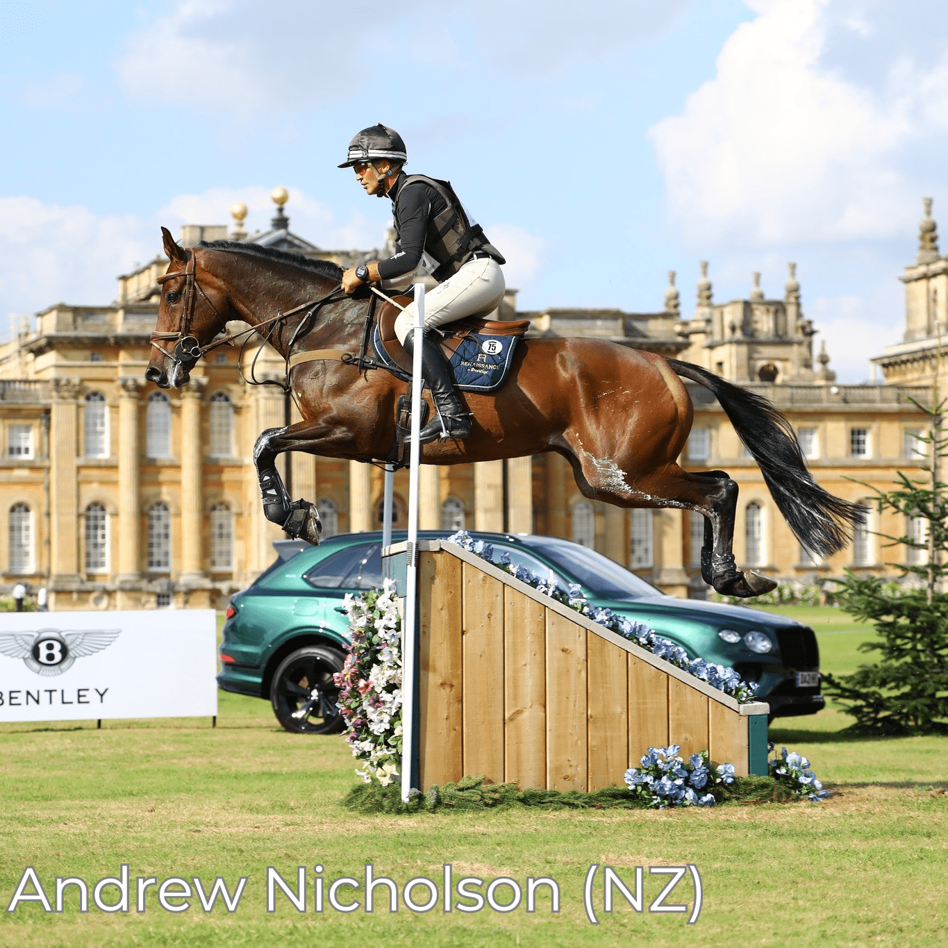 Renaissance F - Mon Sellier