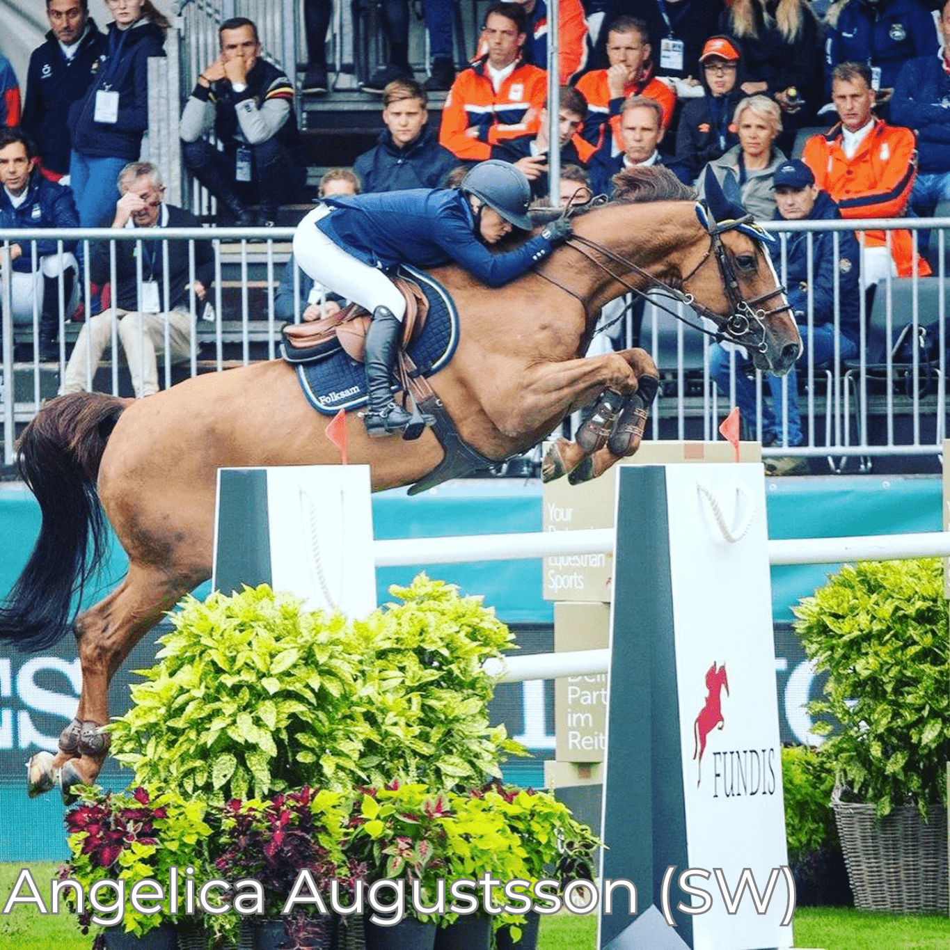 Renaissance F - Mon Sellier