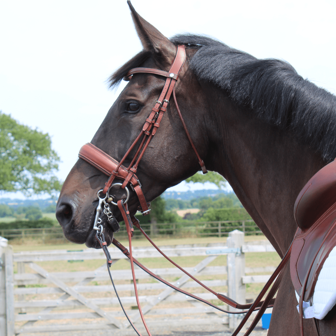 Bridle (Double) Dressage - 4E158 - Mon Sellier