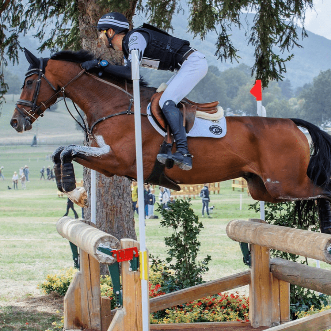 Stirrup leathers - 4A017 - Mon Sellier