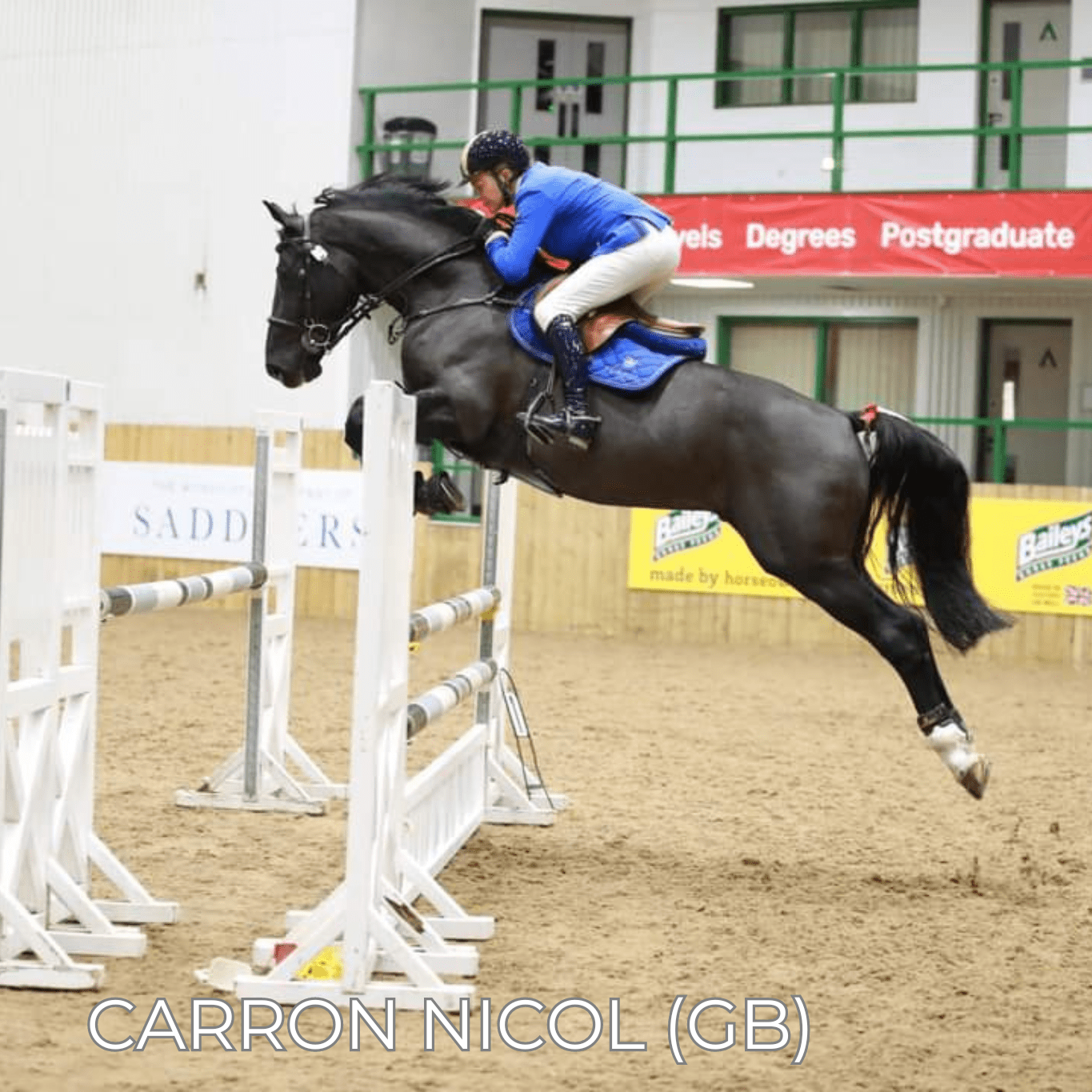 Renaissance F - Mon Sellier