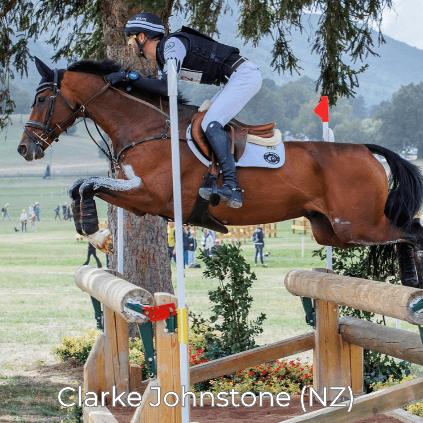 Renaissance M - Mon Sellier