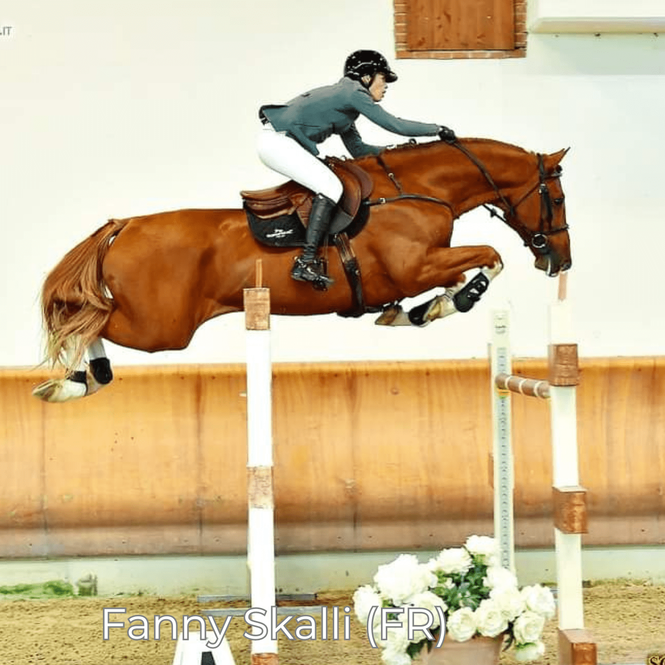 Renaissance F - Mon Sellier