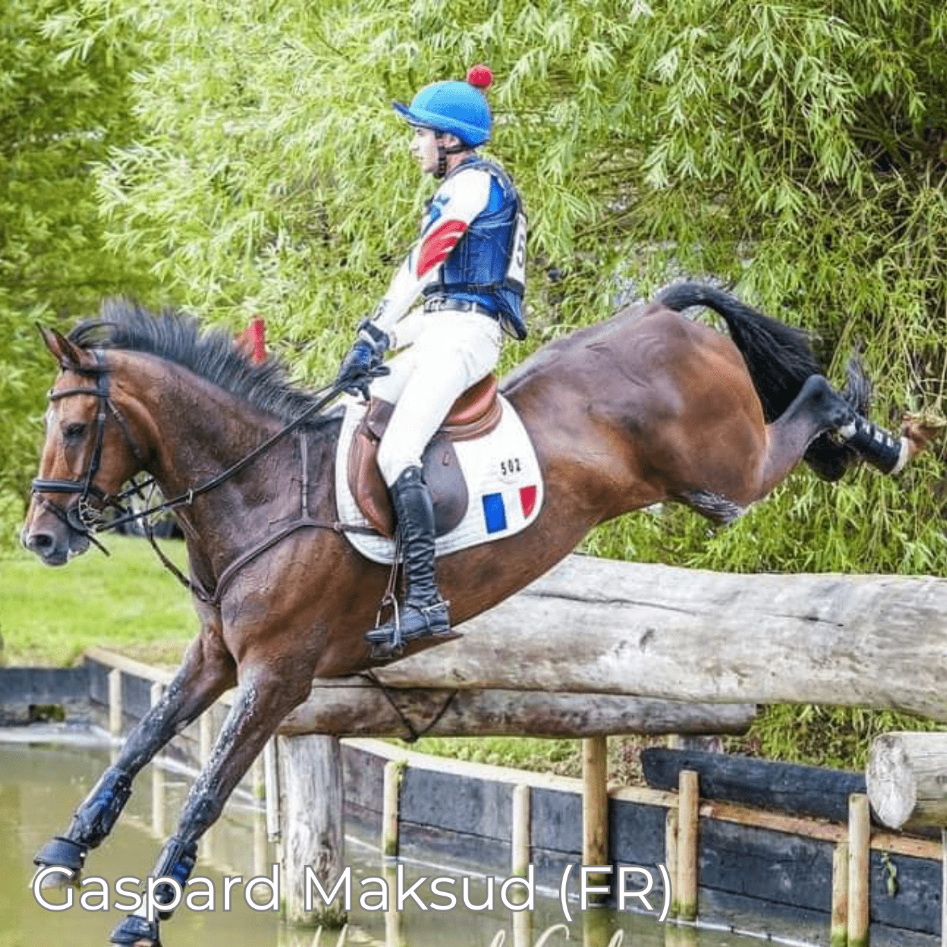 Renaissance F2 - Mon Sellier