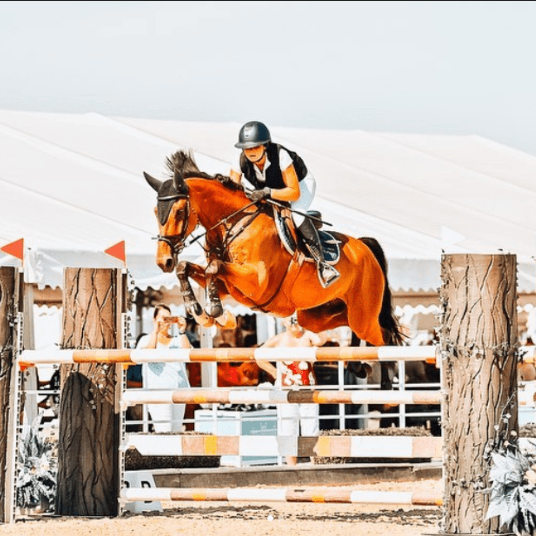 Girth (Stud guard) - 4A058 - Mon Sellier