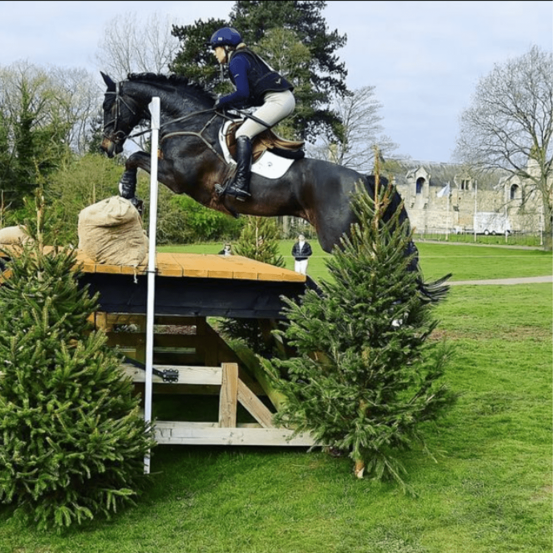 Short stud girth - 4A059 - Mon Sellier