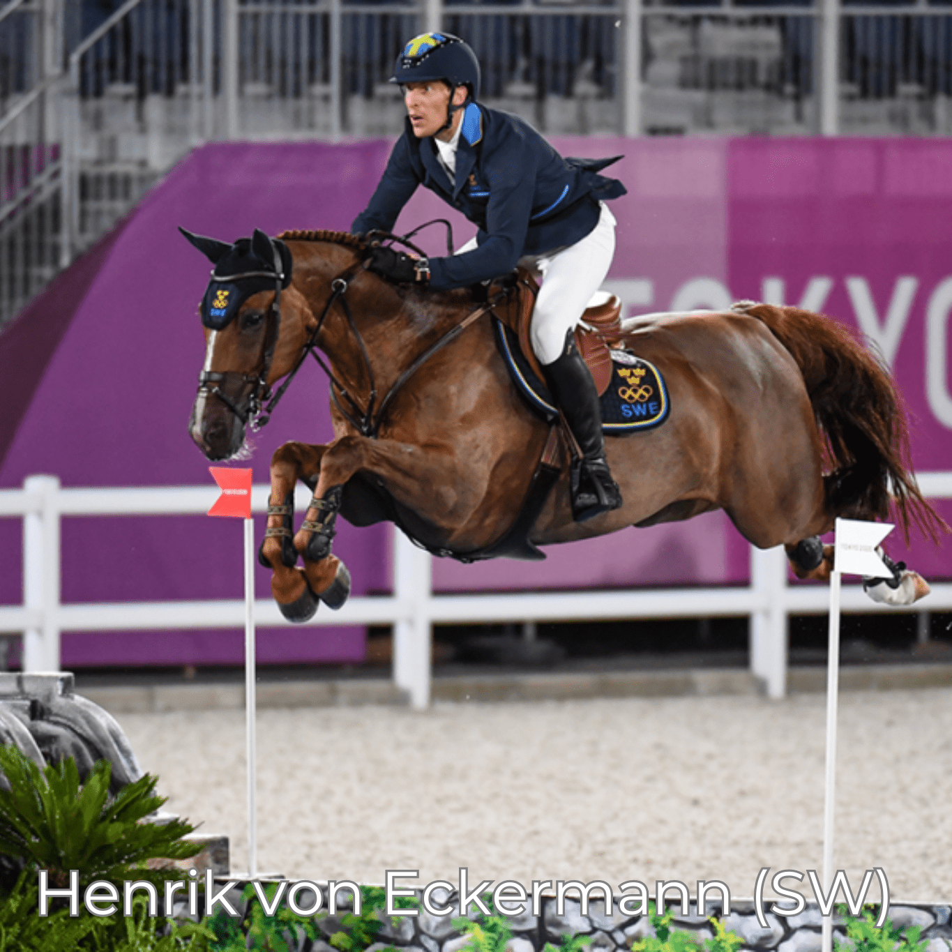 Renaissance M - Mon Sellier