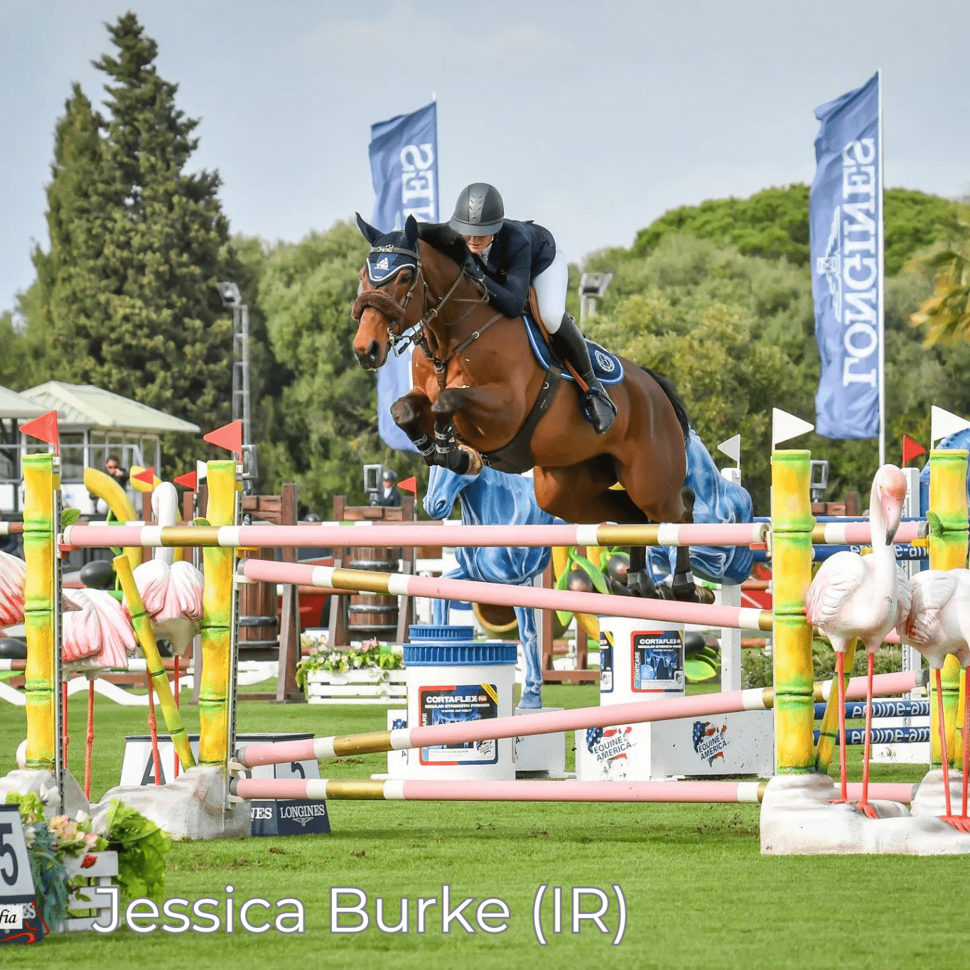 Renaissance F2 - Mon Sellier