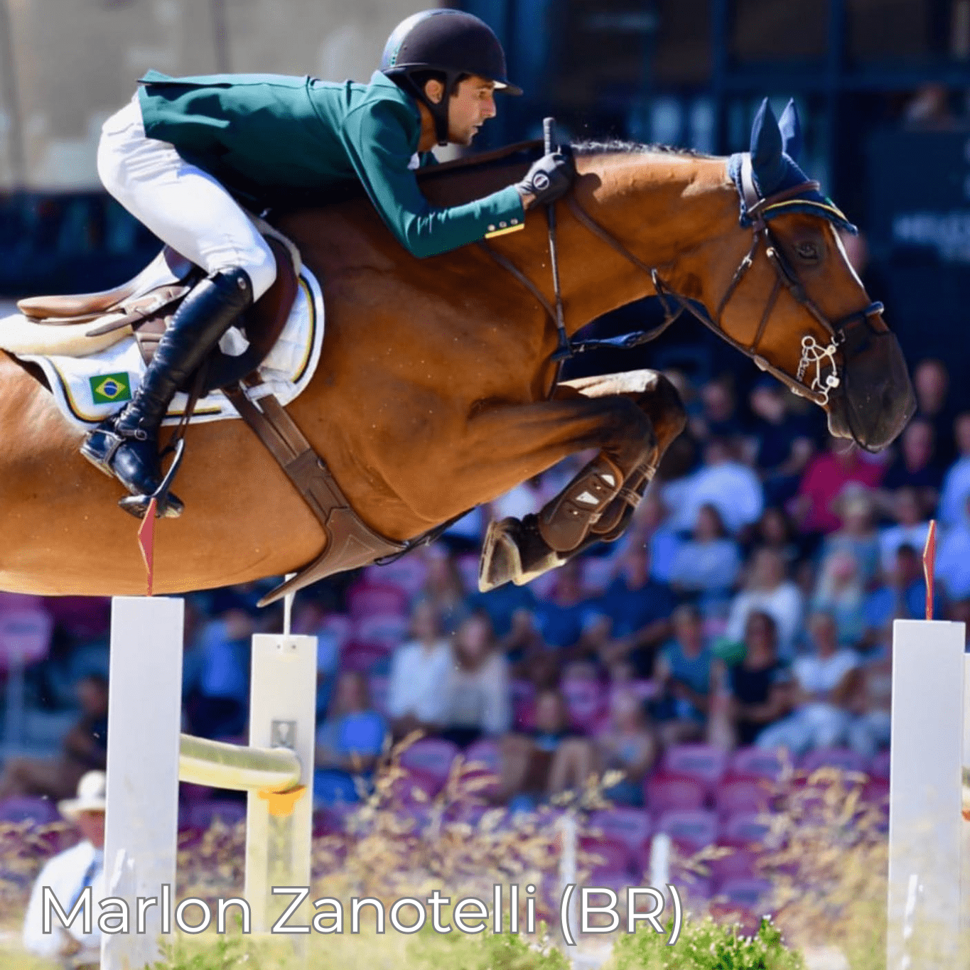 Renaissance F - Mon Sellier