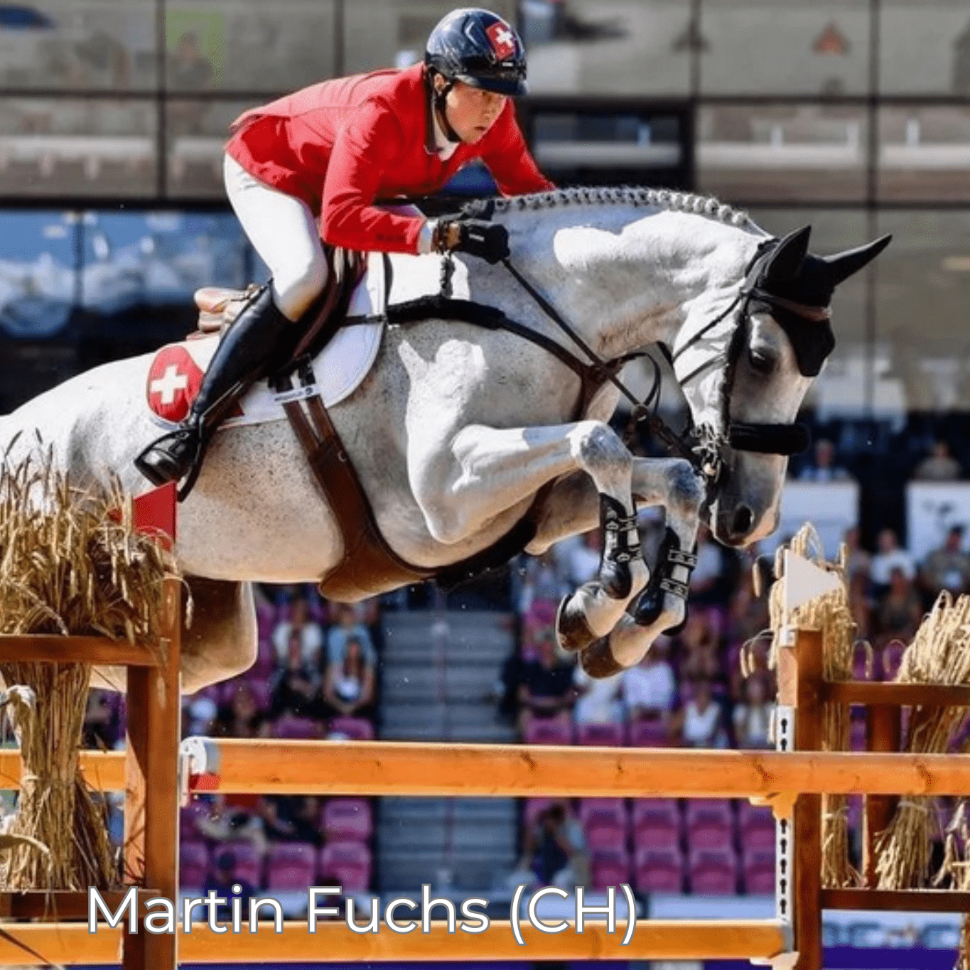 Renaissance F2 - Mon Sellier