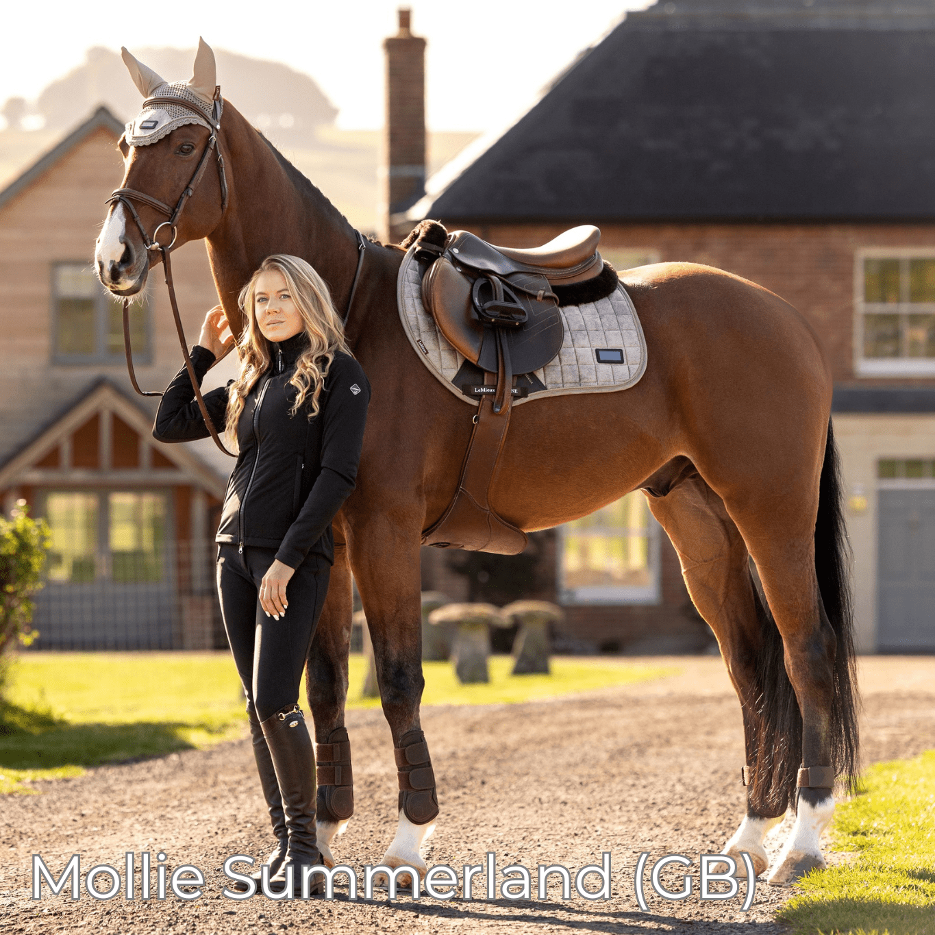 Renaissance F2 - Mon Sellier