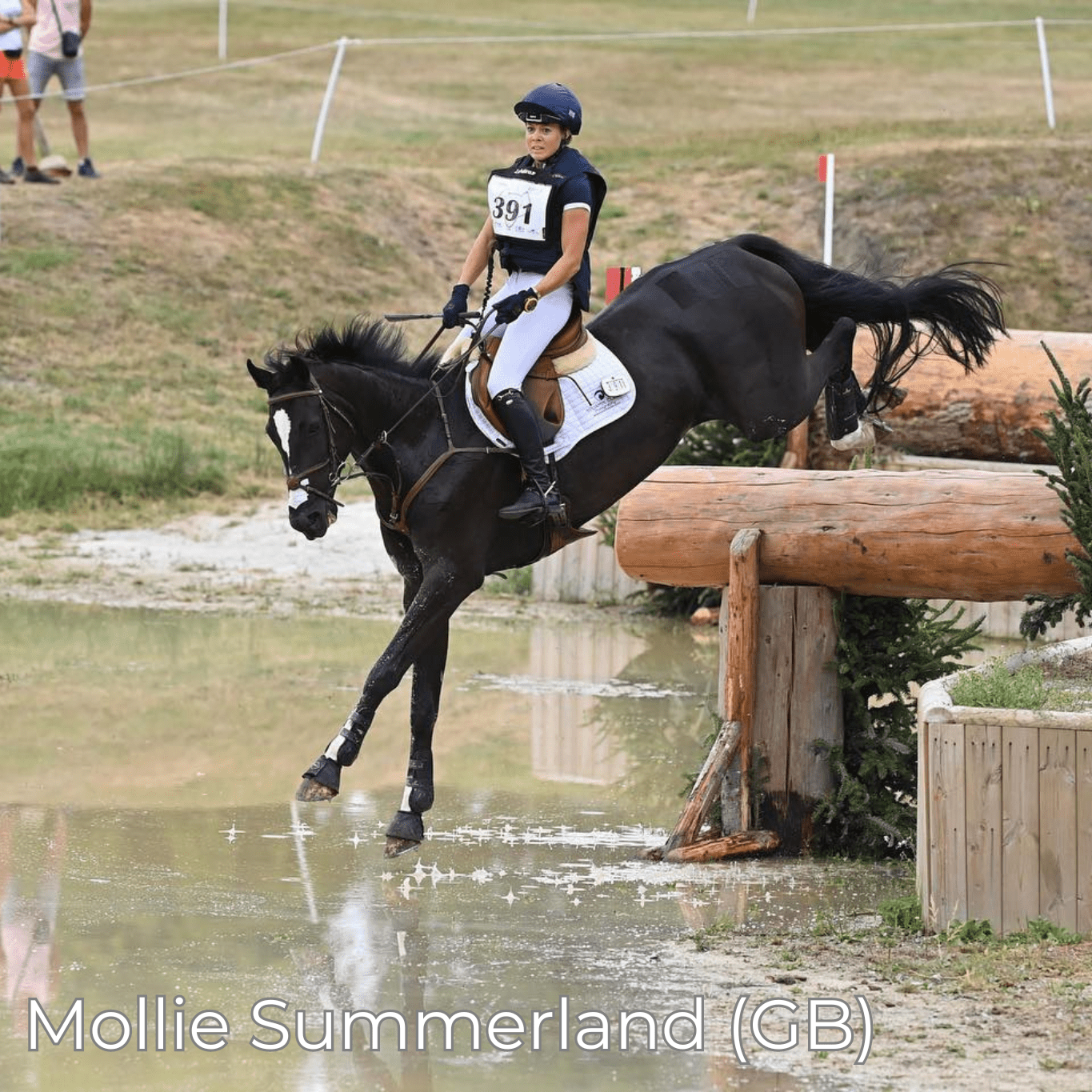 F2 Mono - Mon Sellier