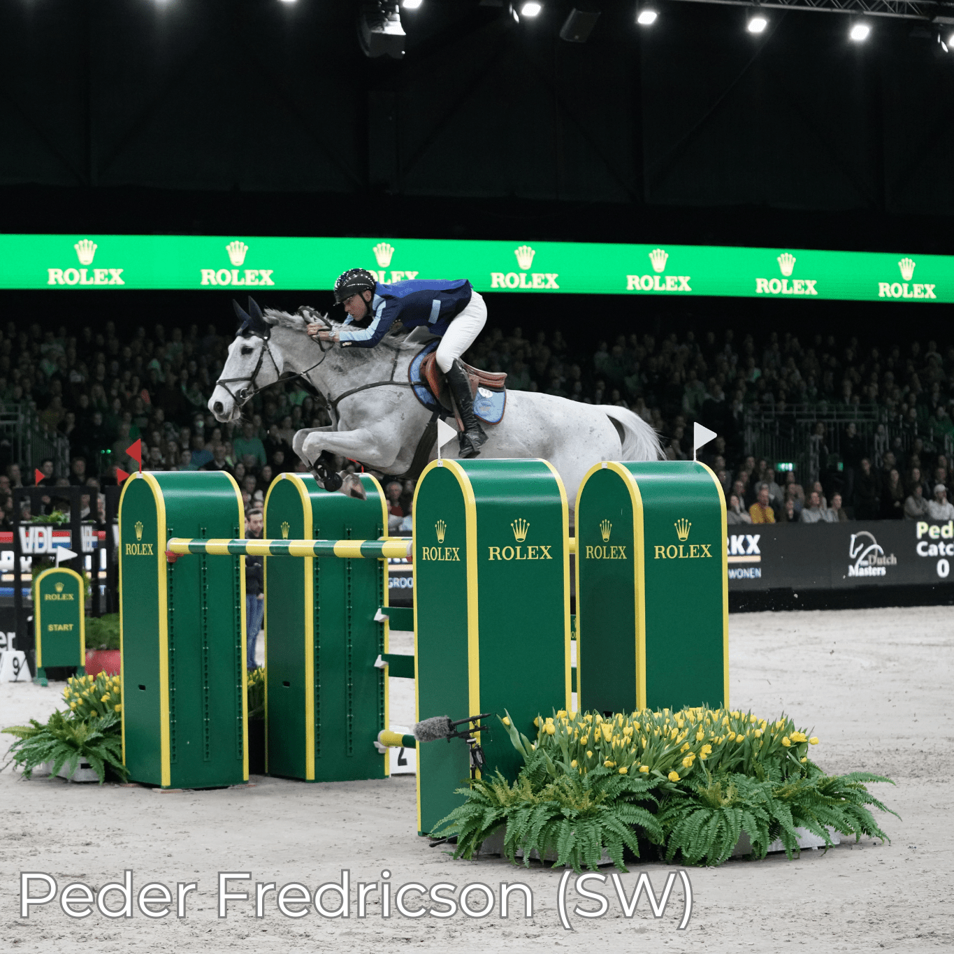 Renaissance F2 - Mon Sellier