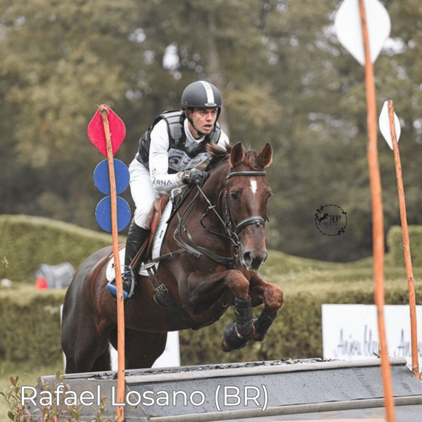 F Mono - Mon Sellier