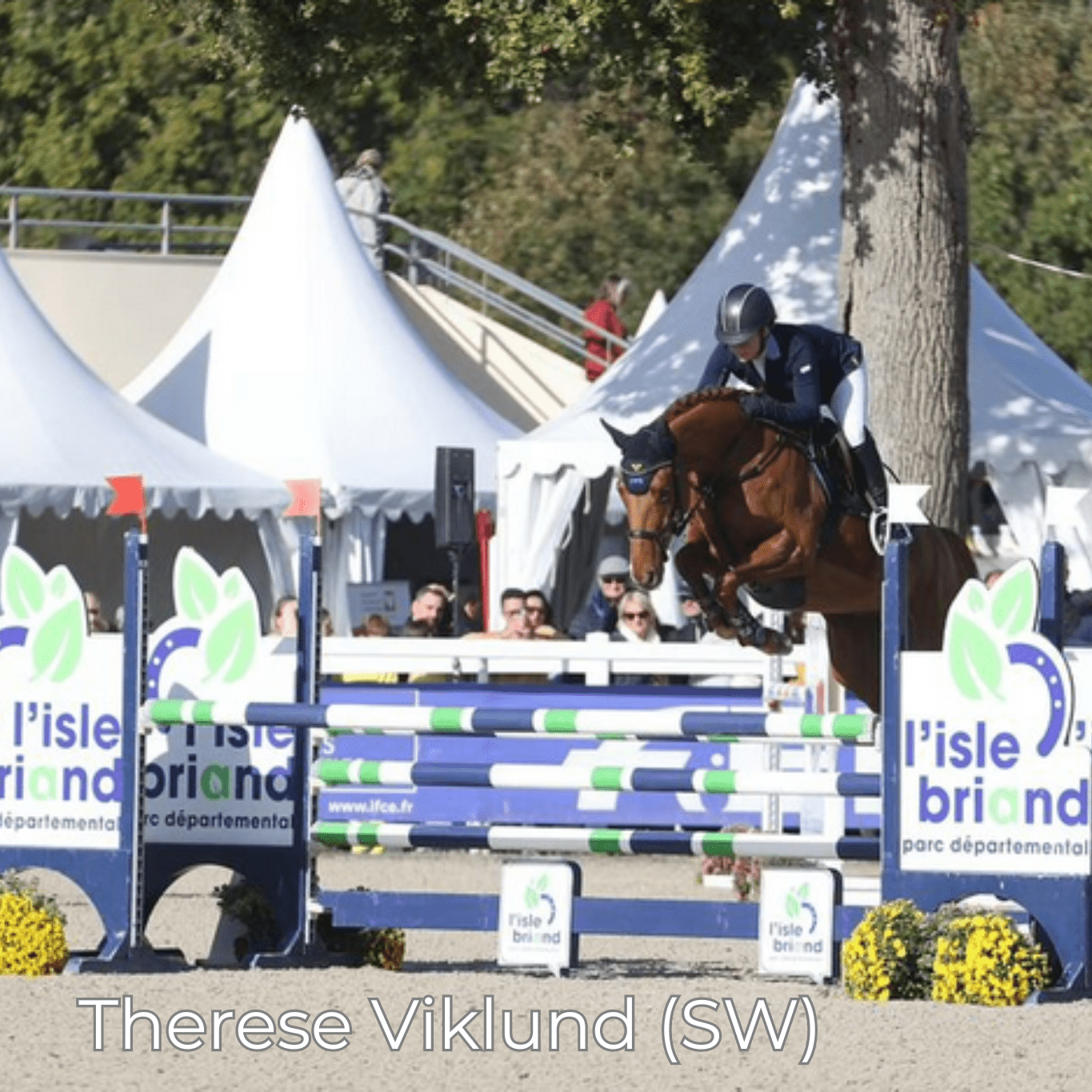 M Mono - Mon Sellier