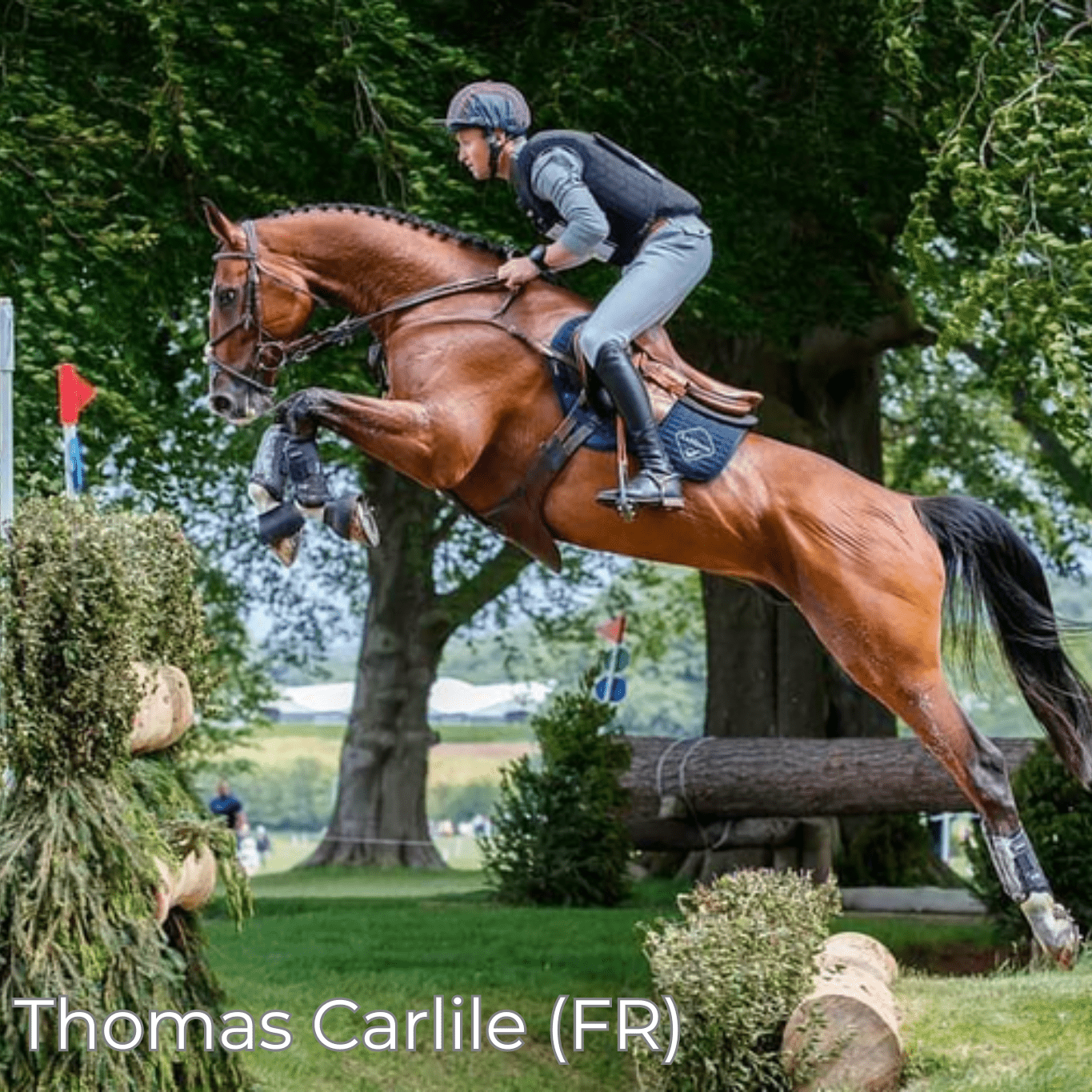 Renaissance F - Mon Sellier