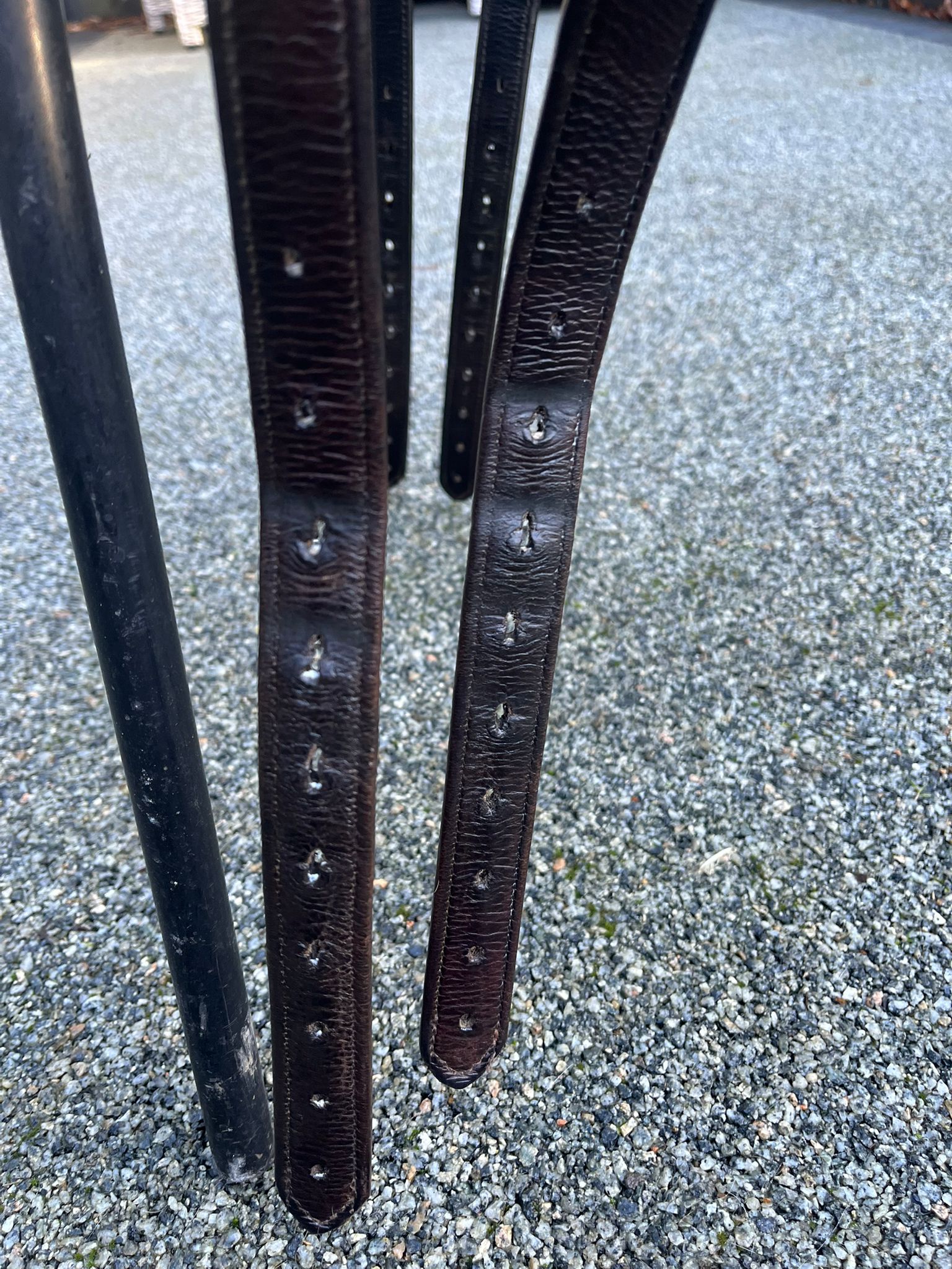 Butet - Deep seat Dressage